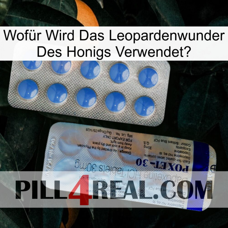 Wofür Wird Das Leopardenwunder Des Honigs Verwendet 39